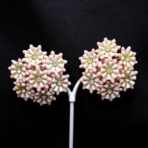 Vintage Pink White Flower Earrings, Feather Weight Clips, 1950s Jewelry